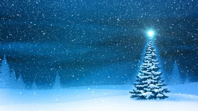 Snowfall, snow and fir trees covered with hoarfrost and snow in night forest in winter. Looped motion graphic.