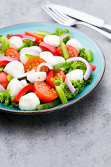 Vegetable salad with cheese mozzarella, tomatoes, basilikum and spice.