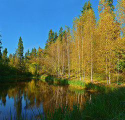 Russian Nature - Golden autumn on the lake near Shakhmatovo-town, Russia