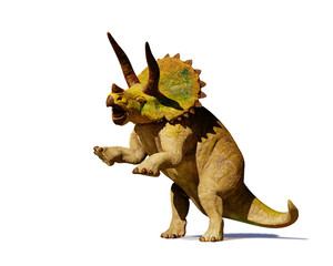Triceratops horridus dinosaur in action (3d rendering isolated with shadow on white background) © dottedyeti