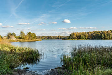 blue lake with shores overgrown with grass and trees, autumn landscape with a marshy water and the shifting light of the setting sun
