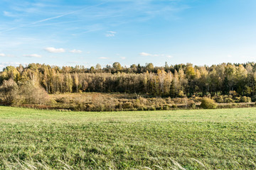 Obraz premium green field and edge of the autumn forest, evening time, the light of the setting sun, autumn landscape background