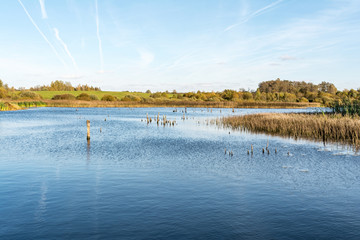 Naklejka premium blue lake with shores overgrown with grass and trees, autumn landscape with a marshy water and the shifting light of the setting sun