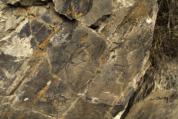 Coa River – Prehistoric Rock Engravings