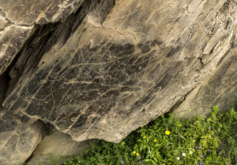 Coa River – Prehistoric Rock Engravings