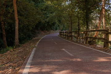 Obraz premium Autumn road