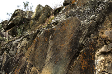 Coa River – Prehistoric Rock Engravings