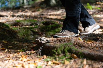 Wandern im Herbst durch den Wald