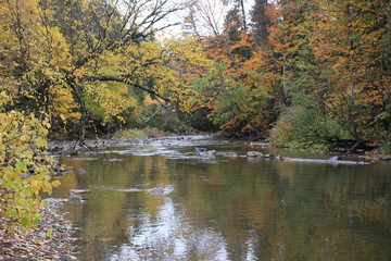 rivière automne 