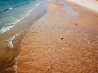 Aerial view of beautiful ocean in porto