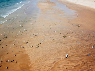 Aerial view of beautiful ocean in porto