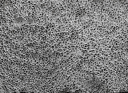 Texture of aerated concrete close-up. The background is black and white. Pores and cells. Illustration.