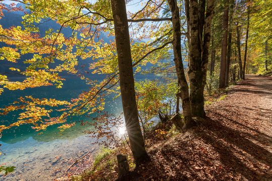 รูปภาพWanderweg – เลือกดูภาพถ่ายสต็อก เวกเตอร์ และวิดีโอ128,329 | Adobe ...