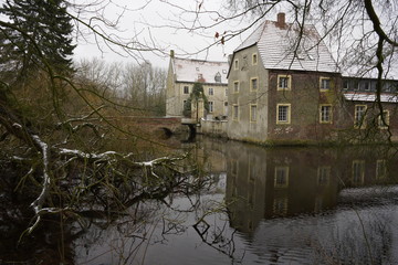 Obraz premium Baum mit Schnee bedeckt im Wasser, Teich am Schloss im Winter