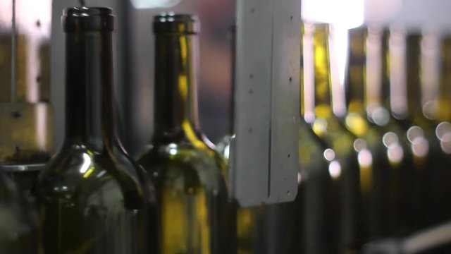 Line of wine bottles
