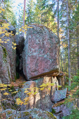                        Granite stones in autumn forest.        