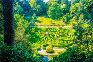 Park in the form of a labyrinth, seen from a point of view hidden among the trees. Cornwall, UK.