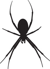 Wasp spider silhouette isolated on white.