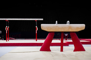A pommel horse in a gymnastic arena 