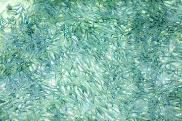 夕焼け, 海, 太陽, 空, 水, 日の出, 浜, 帆船, 地平線, 自然, オレンジ, 雲, 風景, 今夜, 夜明け, 旅行, ボート, 光, クルーズ, モルジブ, モルディブ, リラックス, カップル, 家族, ツアー, 海外, 地中海, インド洋, ハワイ, 沖縄, 海南島, リゾート, 水上, ヴィラ, 高級, ホテル, 民泊, 旅館, 老舗, 料理, 和食, 洋食, フランス, イタリ