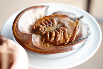Grilled horseshoe crab