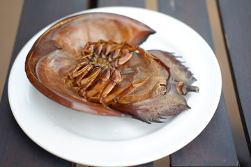 Grilled horseshoe crab