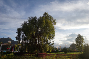 Scenery of Tibet in ChinaScenery of Tibet in China