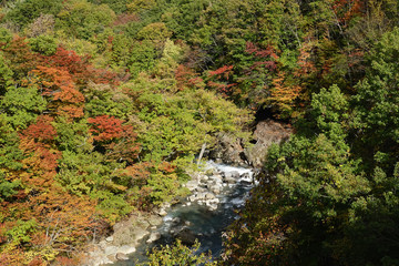 紅葉のある風景