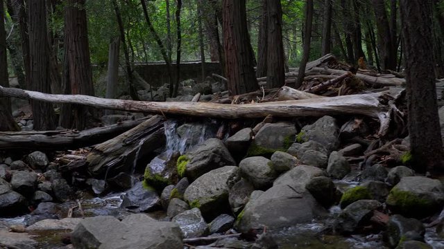 Walking up to Yosemite Falls in Yosemite Valley during the day.  30p conformed to 24p.