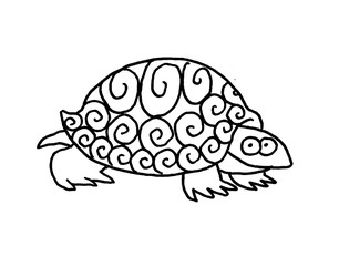 Funny illustration of a turtle