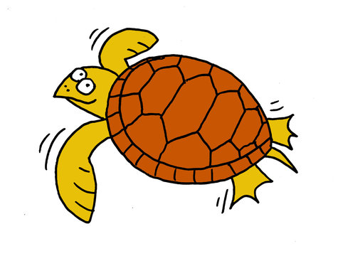 Funny illustration of a turtle