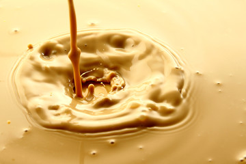 Coffee latte or Milk tea / Coffee is a brewed drink prepared from roasted coffee beans, which are the seeds of berries from the Coffee plant. 