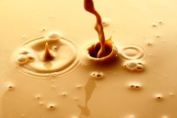 Coffee latte or Milk tea / Coffee is a brewed drink prepared from roasted coffee beans, which are the seeds of berries from the Coffee plant. 