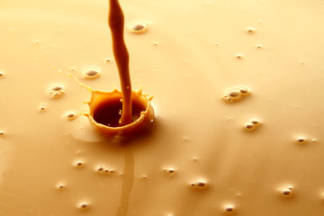 Coffee latte or Milk tea / Coffee is a brewed drink prepared from roasted coffee beans, which are the seeds of berries from the Coffee plant. 