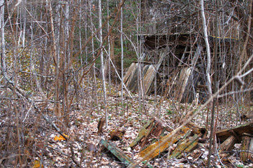 ruins of an old wooden abandoned house in the autumn field