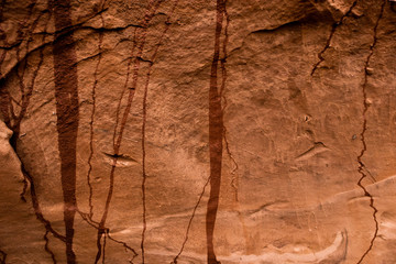 Clay Wall
