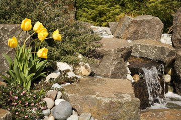 waterfall in japanese garden