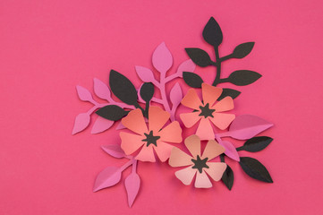 Flower and leaves of paper pink background