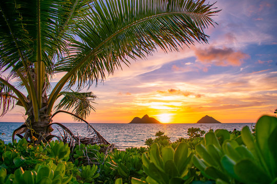 Gorgeous Lanikai Beach Sunrise