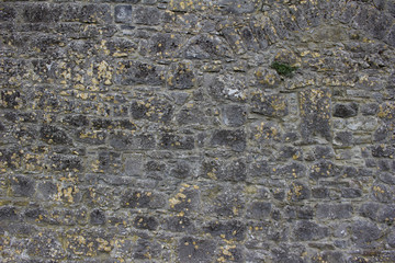 Medieval gray color stone wall background with aged appearance and presence of lichens and moss