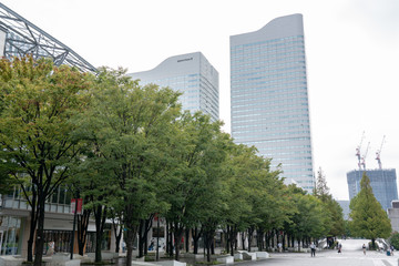 Obraz premium みなとみらい地区のビル群の風景