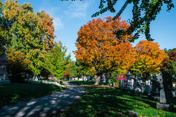 Graveyard autumn road