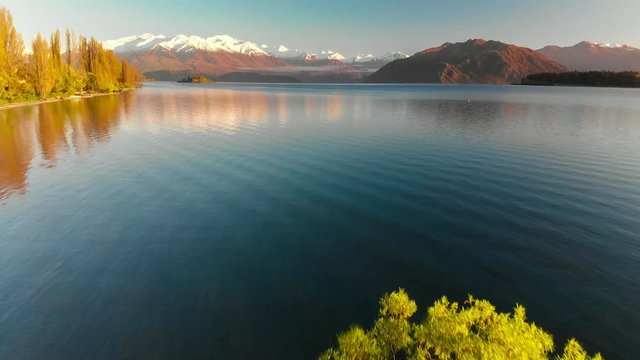 Aerial drone view of The Lonely tree of Lake Wanaka, New Zealand