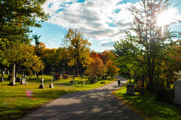Graveyard Autumn Road