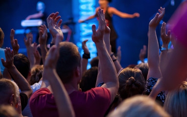 Fototapeta premium crowd at concert - summer music festival