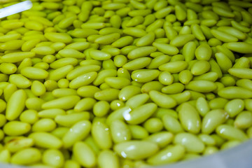 Pickled  Grapefruit, Asian style fruit, Thailand