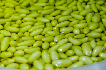 Pickled  Grapefruit, Asian style fruit, Thailand