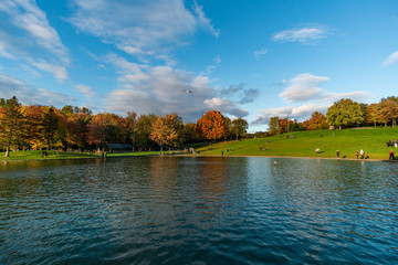 Montreal Beaver lake in Autumn