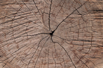 Fototapeta premium Weathered brown wood texture for background