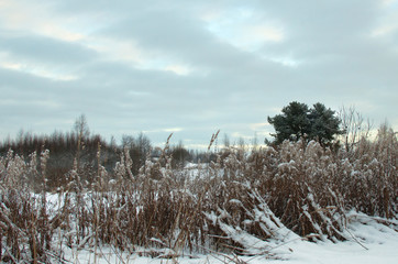 cloudy winter weather, and the landscape